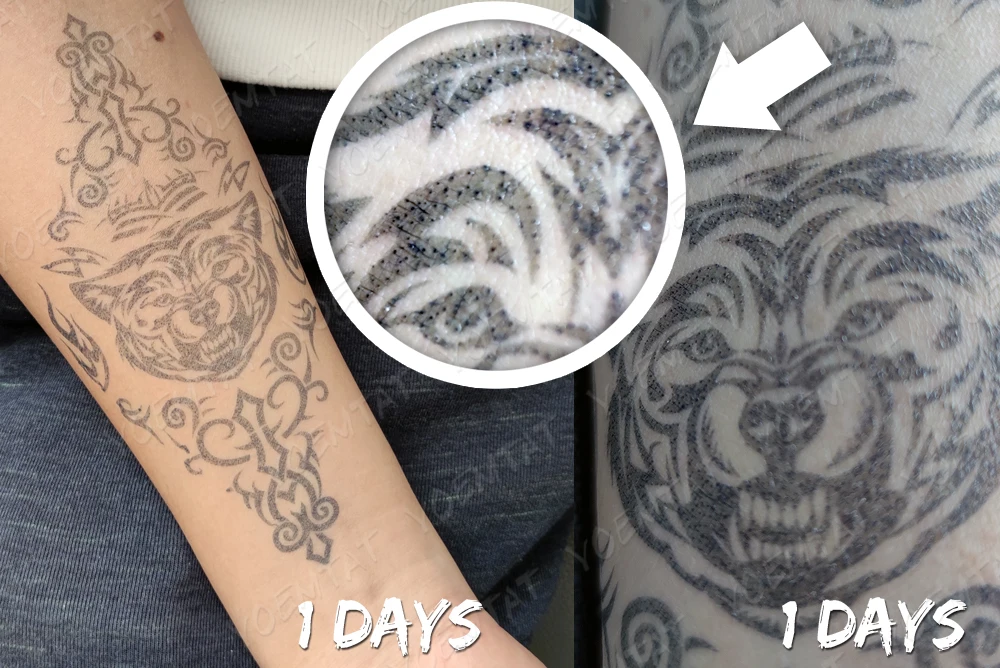 تتو موقت جذبی سایز متوسط گیاهی ضد آب و مواد شوینده 11 kf H1571dbf678564cb7a7bed81912b1f3f4J