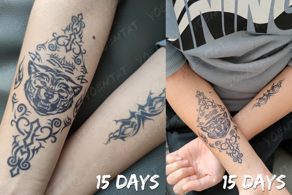 تتو موقت جذبی سایز متوسط گیاهی ضد آب و مواد شوینده 14 kf H867b7dc71c584477a48b5a46651e235bD