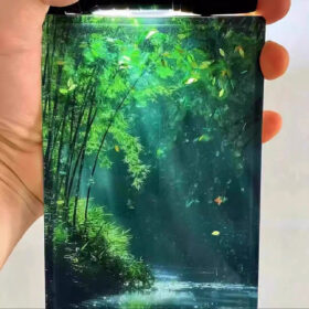 دکوری سه بعدی جنگل بامبو