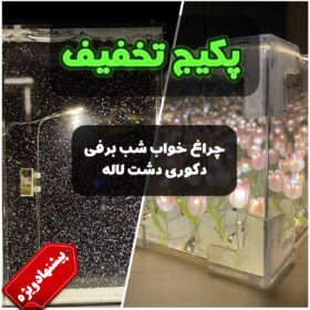 پک دکوری شب برفی و دشت لاله