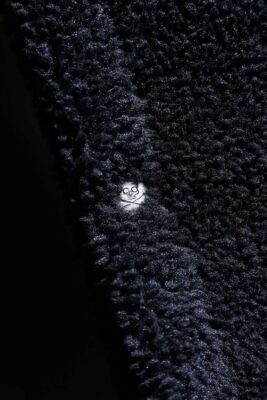 IMG 7979