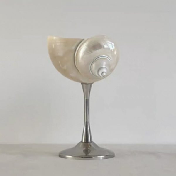 جام نوشیدنی لاکچری طبیعی حلزون