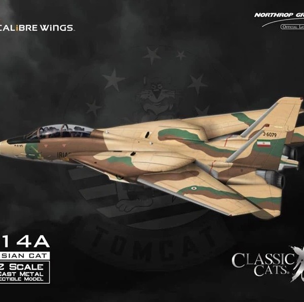 ماکت جت جنگنده اف ۱۴ نهاجا ایران 1/72 مدل F14A