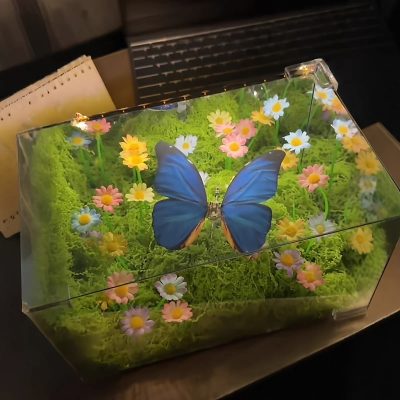 دکوری آکواریوم پروانه متحرک ال ای دی 3 IMG 1207