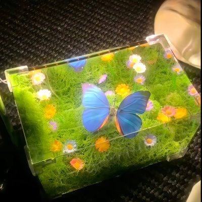 دکوری آکواریوم پروانه متحرک ال ای دی 6 IMG 1212