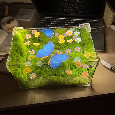 دکوری آکواریوم پروانه متحرک ال ای دی 5 IMG 1213