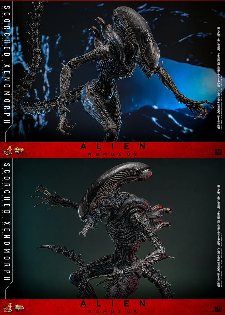 اکشن فیگور بیگانه هات تویز Hot Toys 1/6 MMS784 Alien:Romulus 18 kf S12e12f99300742a4ac5726d32675e670u