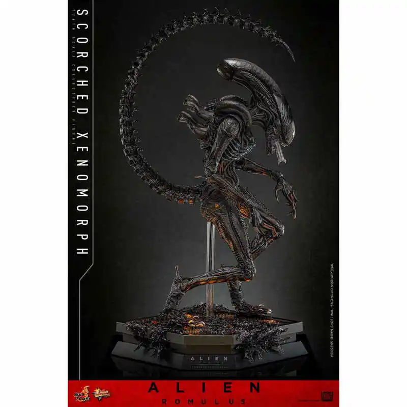 اکشن فیگور بیگانه هات تویز Hot Toys 1/6 MMS784 Alien:Romulus 2 اکشن فیگور بیگانه هات تویز Hot Toys 1/6 MMS784 Alien:Romulus - Image 2