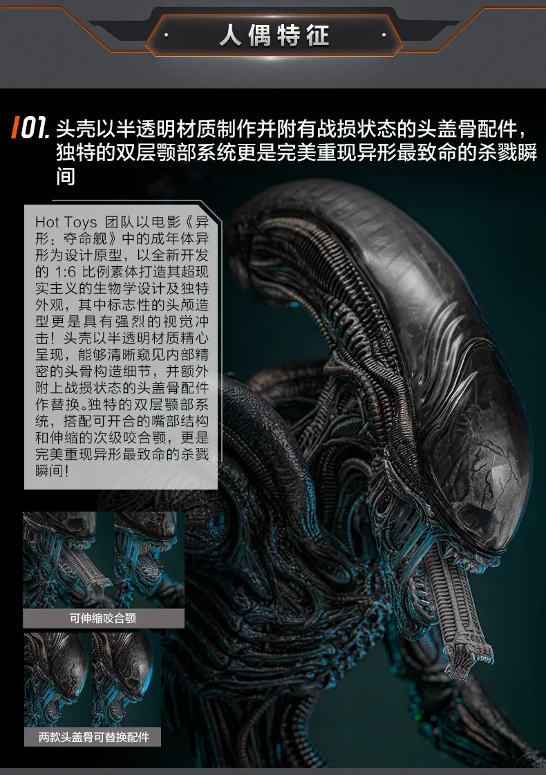 اکشن فیگور بیگانه هات تویز Hot Toys 1/6 MMS784 Alien:Romulus 8 kf S1e378c6122f44303b15ea556626007aaR