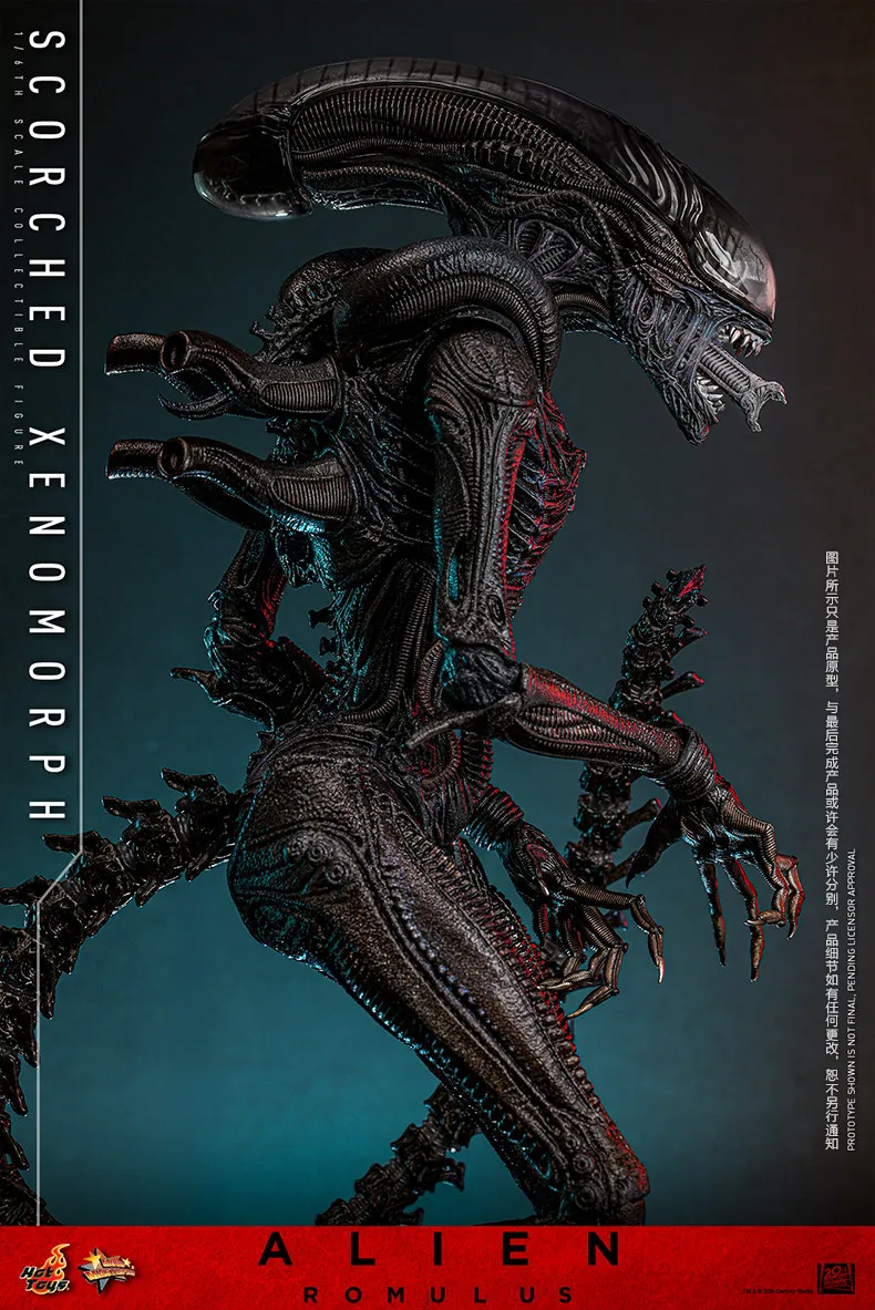 اکشن فیگور بیگانه هات تویز Hot Toys 1/6 MMS784 Alien:Romulus 14 kf S3244cf6e9fd349eeae9333e2aa240749y
