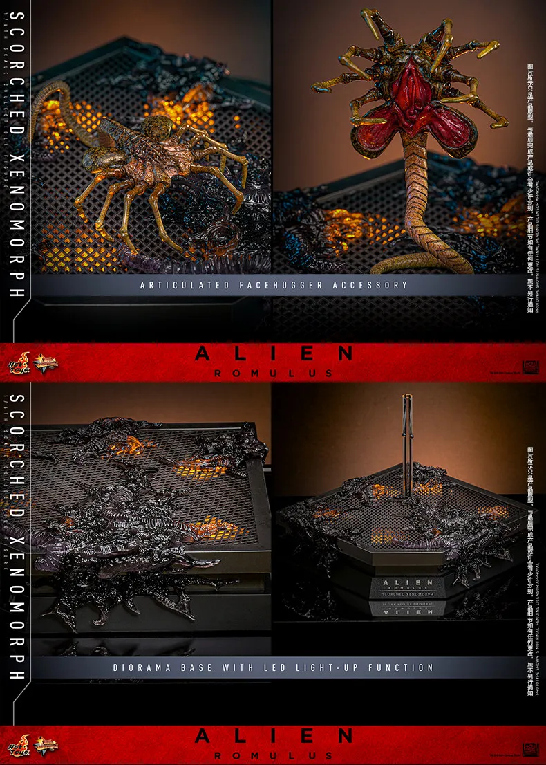 اکشن فیگور بیگانه هات تویز Hot Toys 1/6 MMS784 Alien:Romulus 22 kf S57ed52f5013f44c38ec9336c6ab1b96dv