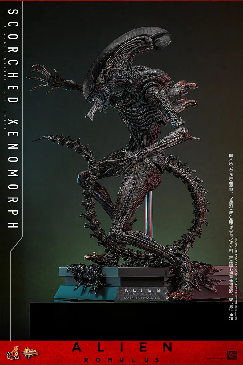 اکشن فیگور بیگانه هات تویز Hot Toys 1/6 MMS784 Alien:Romulus 15 kf S6c855da1dfbd4a8f93a3fbc9972f7c19S