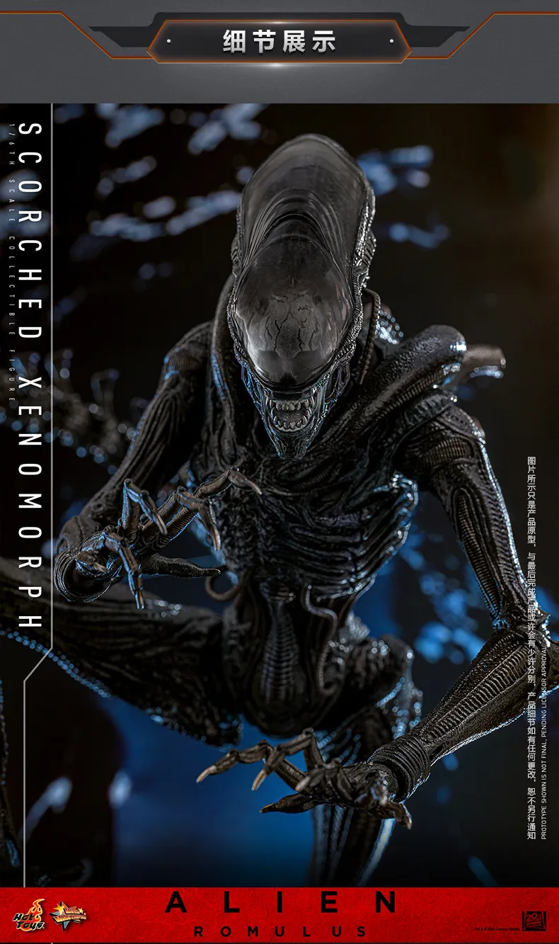 اکشن فیگور بیگانه هات تویز Hot Toys 1/6 MMS784 Alien:Romulus 11 kf S6f6836749bf446d8872a72dd34b8d799V