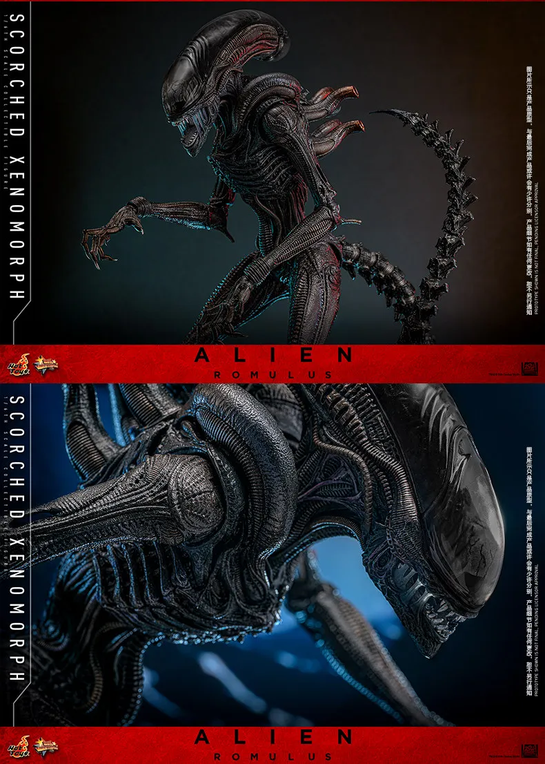 اکشن فیگور بیگانه هات تویز Hot Toys 1/6 MMS784 Alien:Romulus 17 kf S7371152f8ac84826b551871bf21074d6m