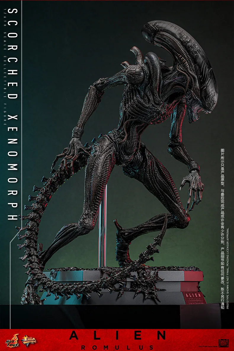 اکشن فیگور بیگانه هات تویز Hot Toys 1/6 MMS784 Alien:Romulus 19 kf S96229d5071d543078c90be14c20f05feT
