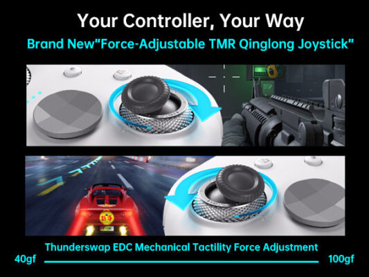 دسته بازی حرفه ای Thunderobot G80 ThunderSwap 10 IMG 8294