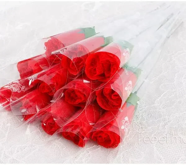 گیفت شورت فانتزی طرح گل رز ولنتاین